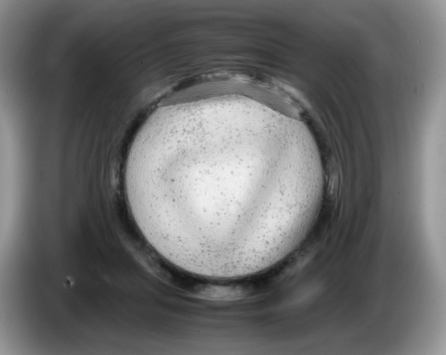 X0000086260455200704261959