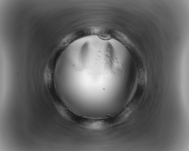 X0000086260456200704261959