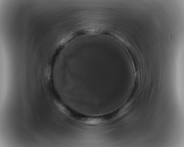 X0000086260458200704261959