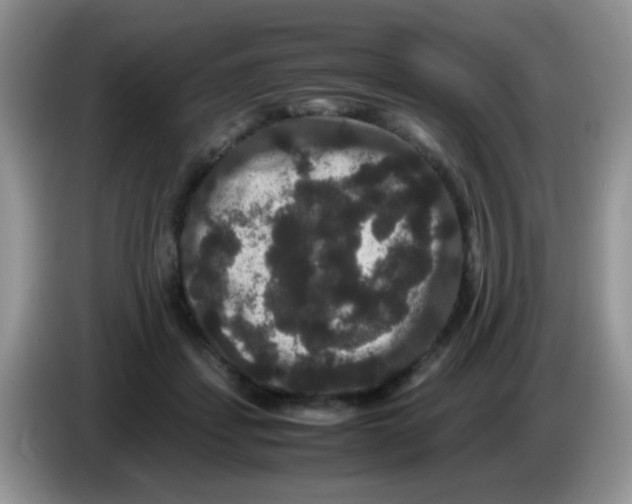 X0000086260459200704261959
