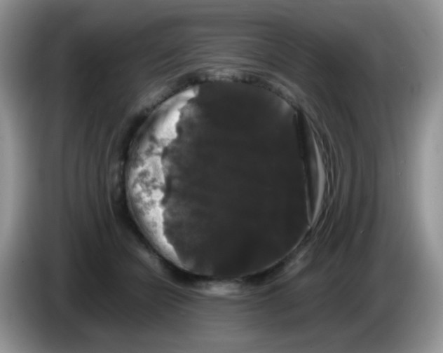 X0000086260462200704261959