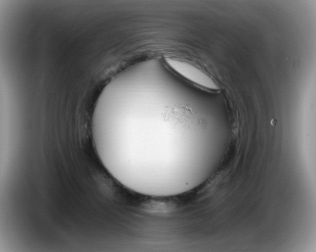 X0000086260464200704261959