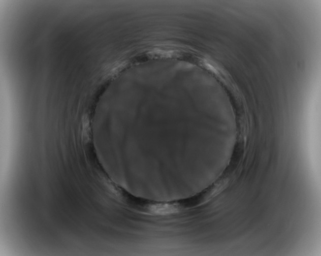 X0000086260465200704261959