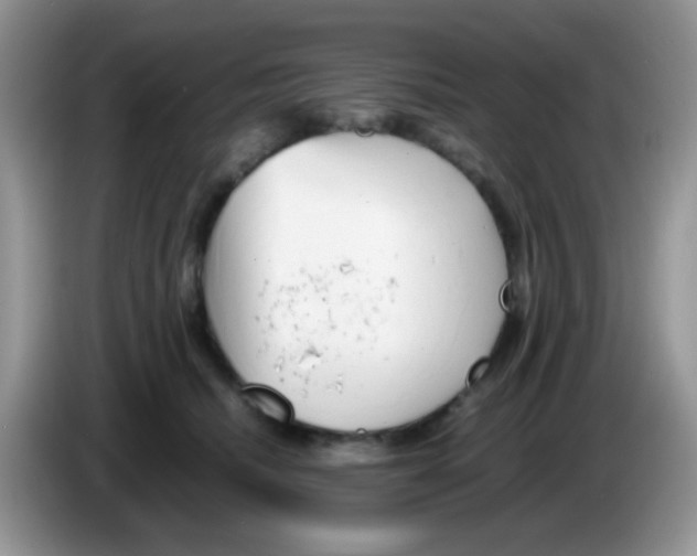 X0000086260468200704261959