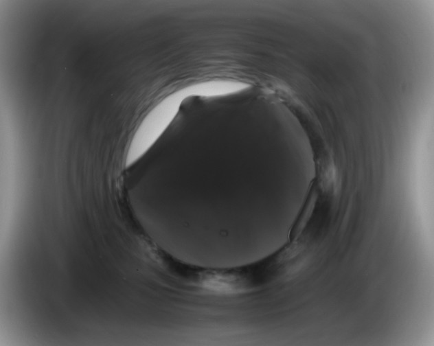 X0000086260471200704261959