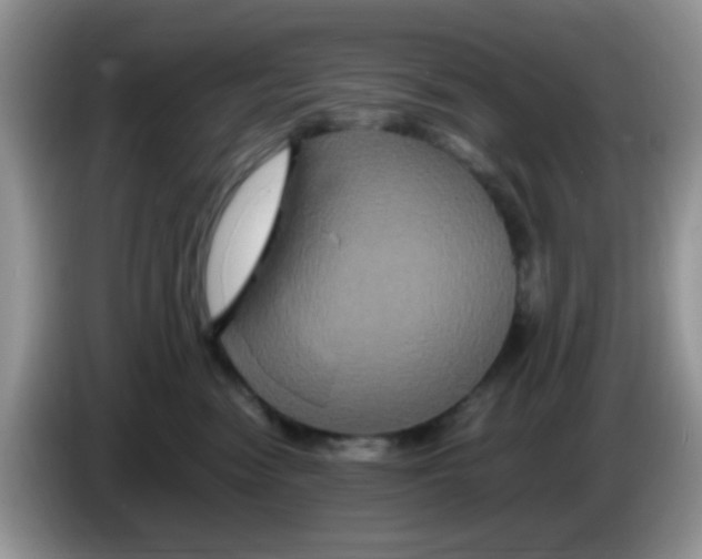 X0000086260474200704261959