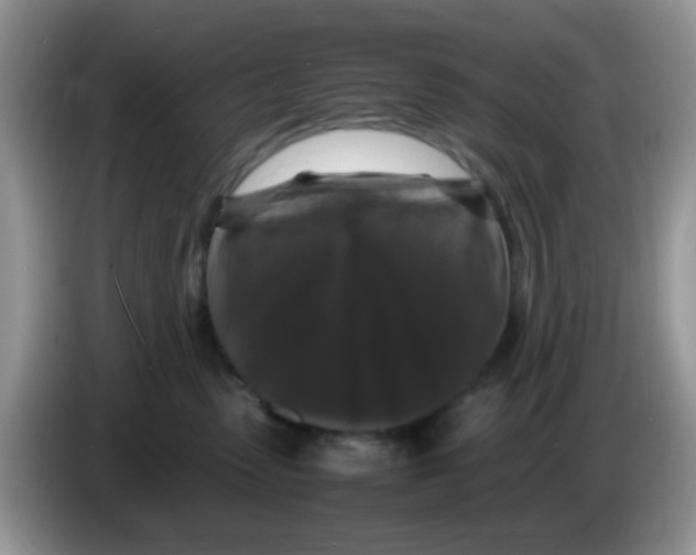 X0000086260475200704261959