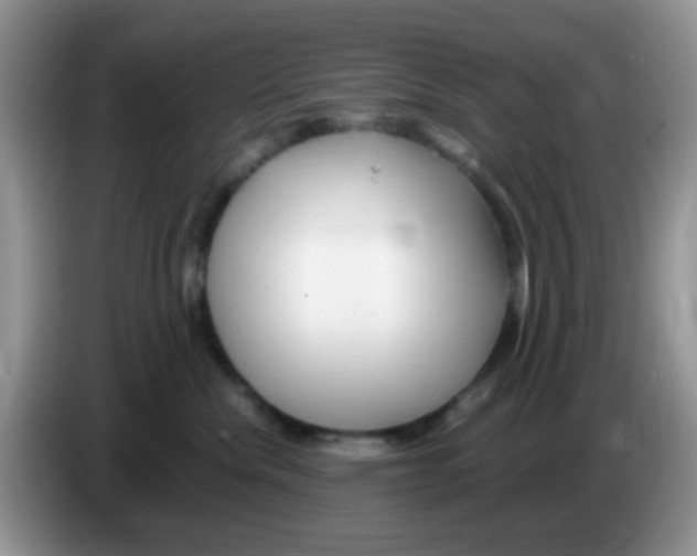 X0000086260476200704261959