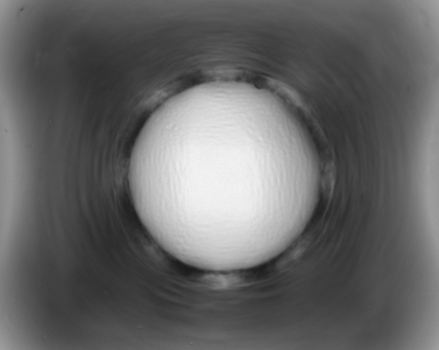 X0000086260477200704261959