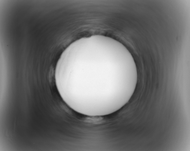 X0000086260480200704261959