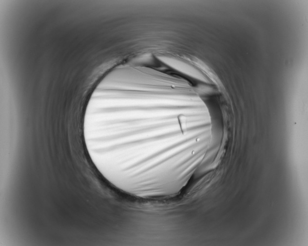 X0000086260481200704261959