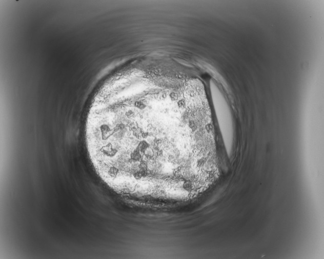 X0000086260483200704261959