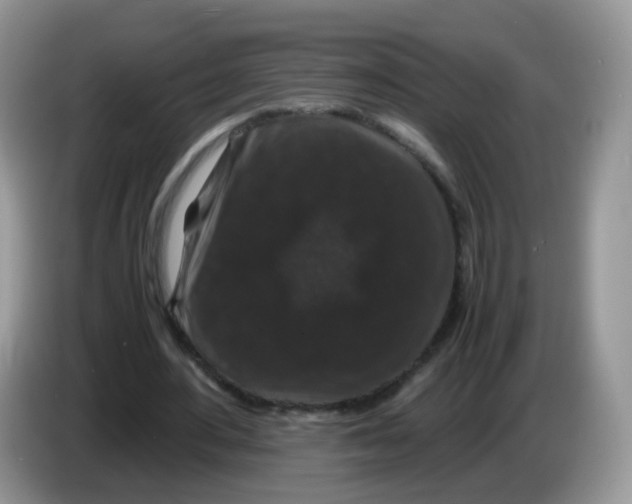 X0000086260484200704261959