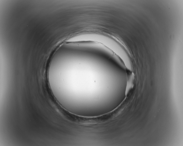 X0000086260485200704261959