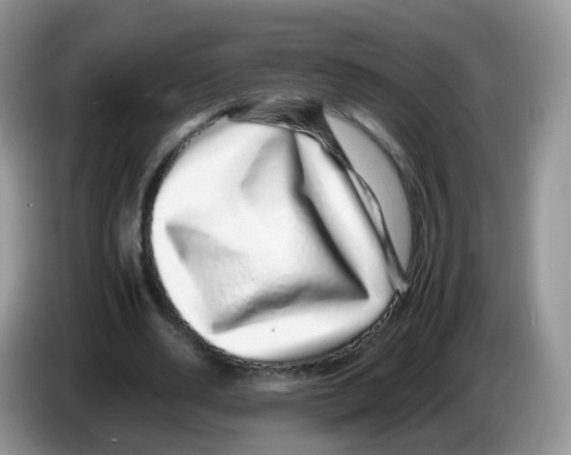 X0000086260486200704261959