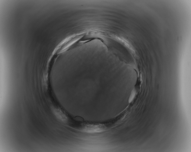 X0000086260488200704261959