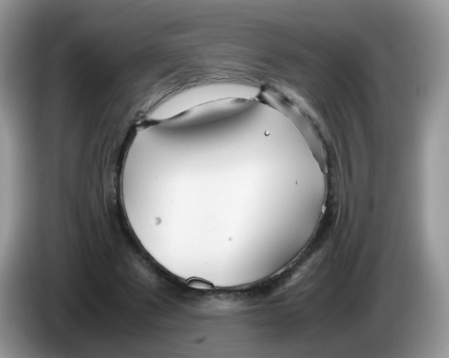 X0000086260489200704261959