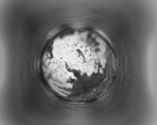 X0000086260491200704261959