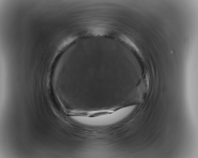 X0000086260492200704261959