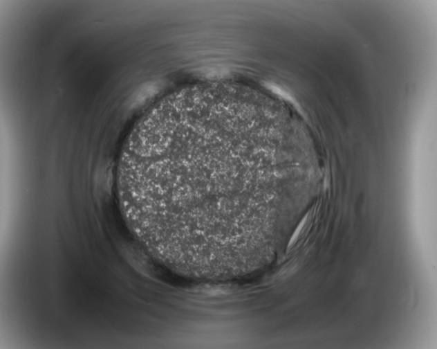 X0000086260495200704261958