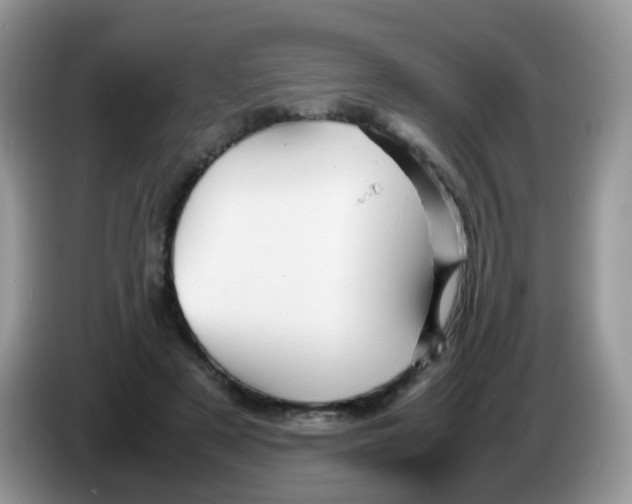 X0000086260497200704261958