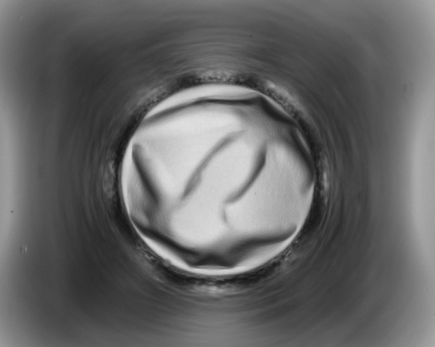 X0000086260498200704261958