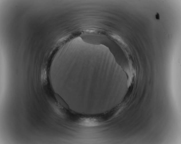 X0000086260500200704261958