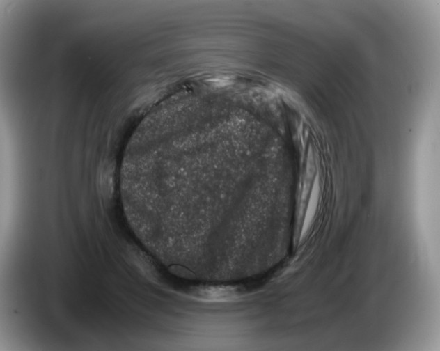 X0000086260501200704261958