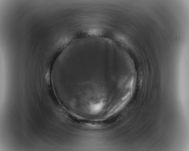 X0000086260502200704261958