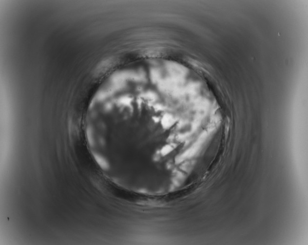 X0000086260503200704261958