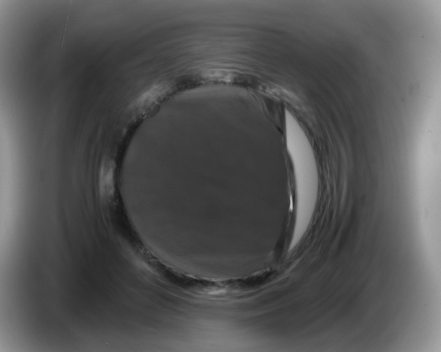 X0000086260504200704261958