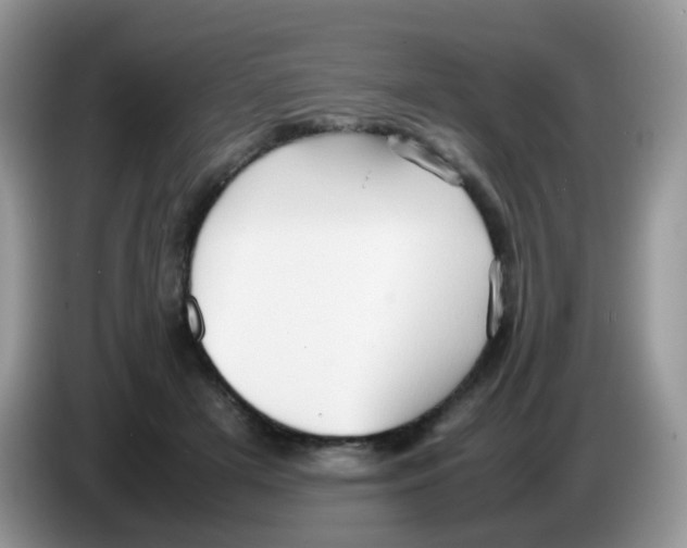 X0000086260505200704261958