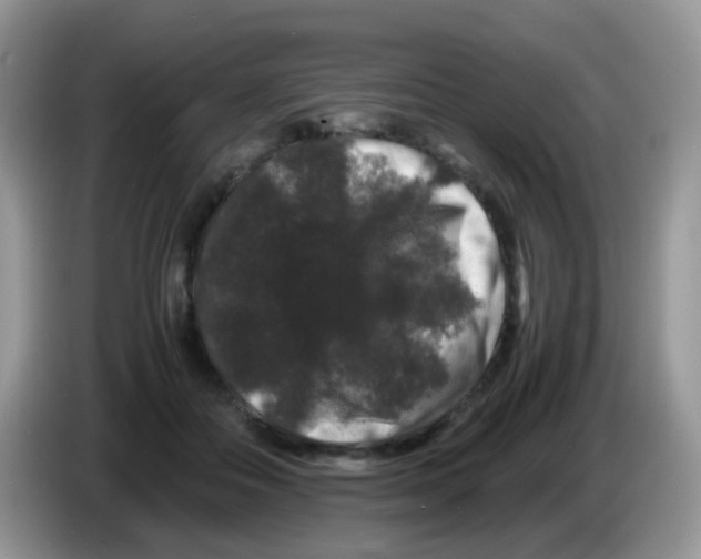 X0000086260506200704261958
