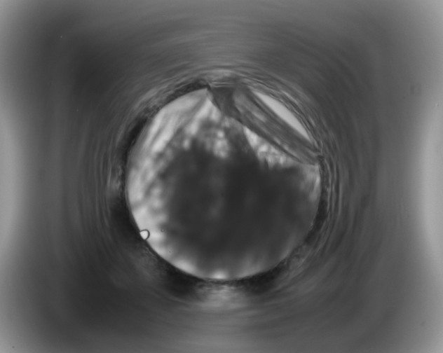 X0000086260507200704261958