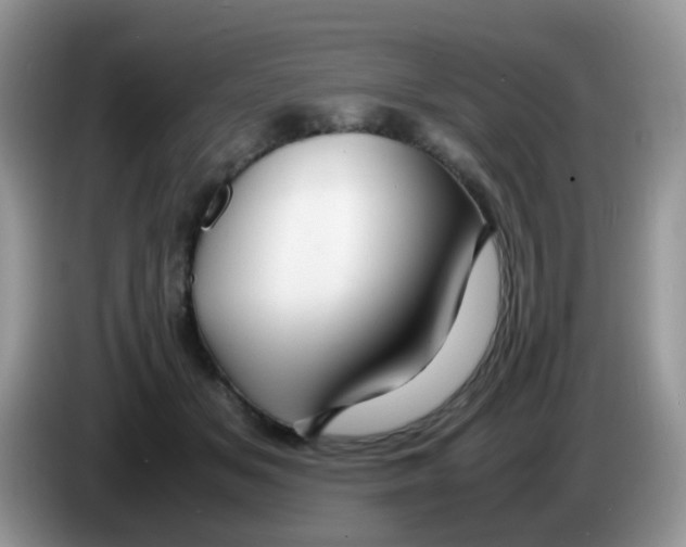 X0000086260509200704261958
