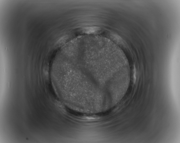 X0000086260510200704261958