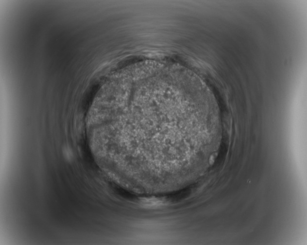 X0000086260511200704261958