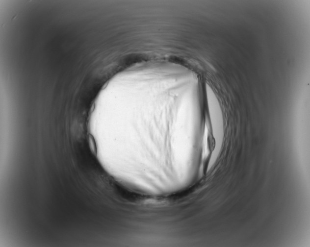 X0000086260515200704261958