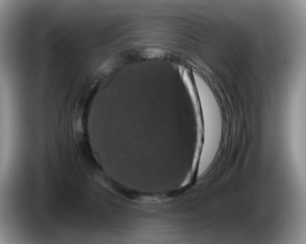 X0000086260516200704261958