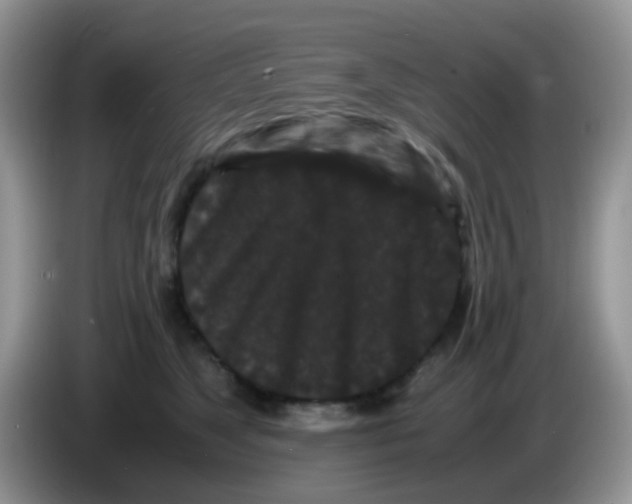 X0000086260517200704261958
