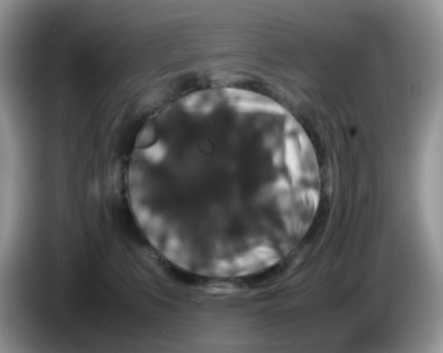 X0000086260519200704261958