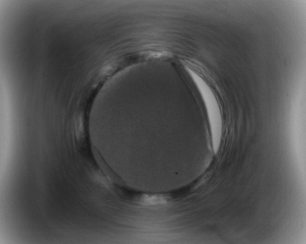 X0000086260520200704261958