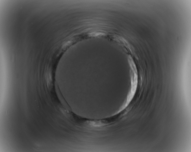 X0000086260524200704261958