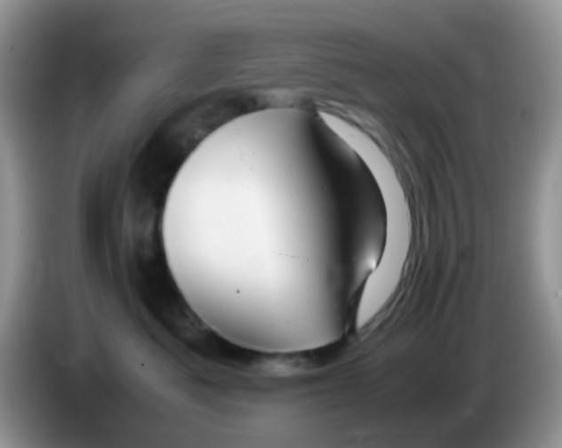 X0000086260525200704261958