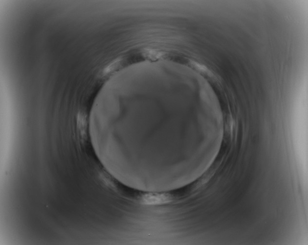 X0000086260526200704261958