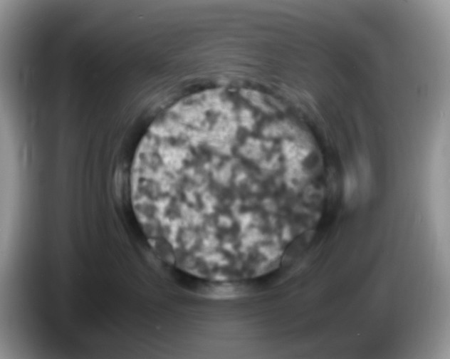 X0000086260527200704261958