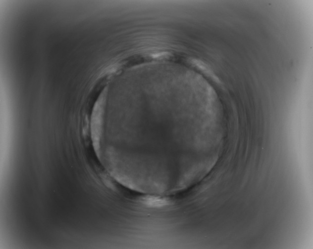 X0000086260528200704261958