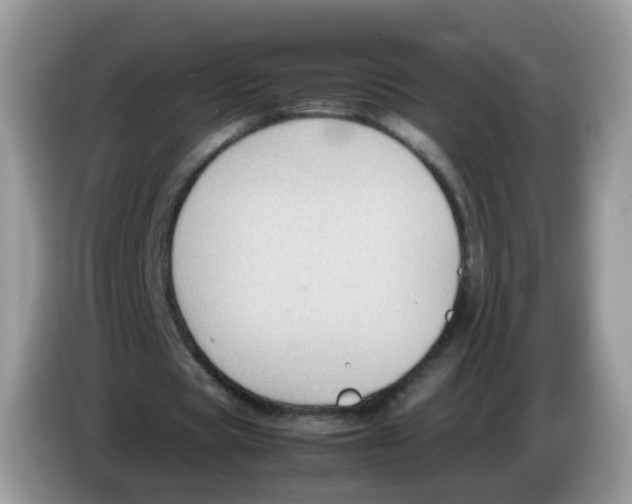 X0000086260529200704261957