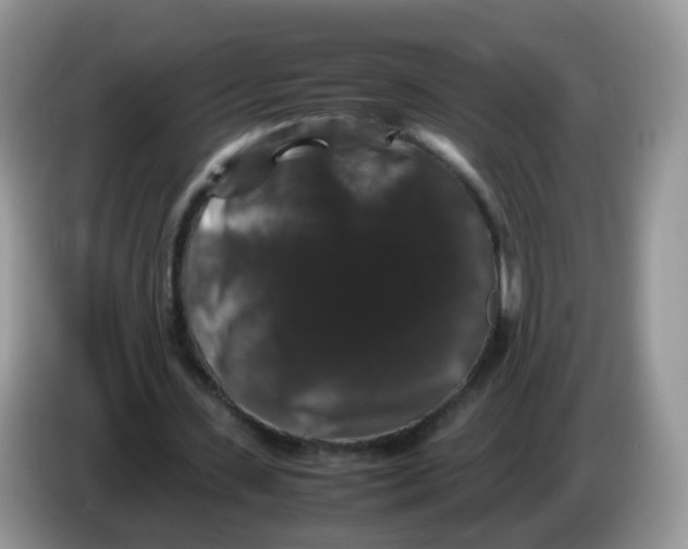 X0000086260531200704261957