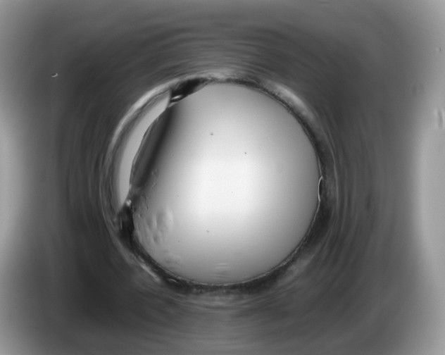X0000086260532200704261957
